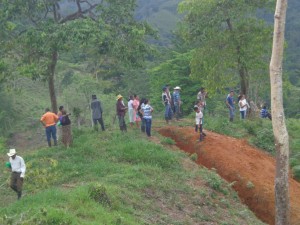 La-nueva-esperanza-esplorazione-dellarea-della-consessione