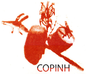 logo_COPINH